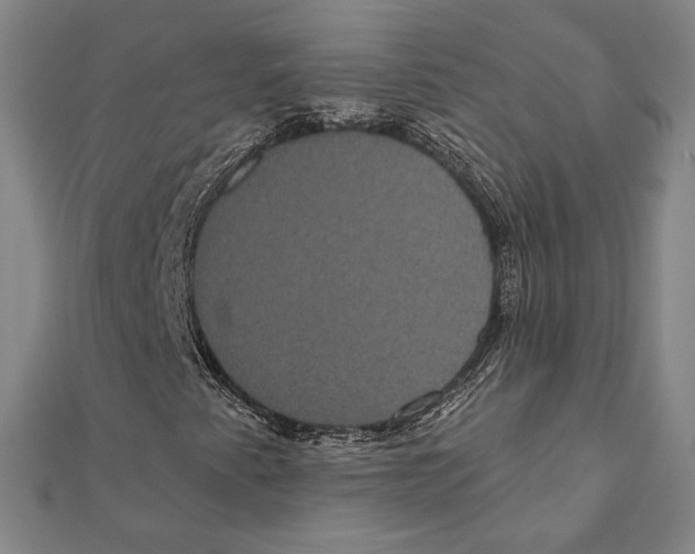 X0000111481345200908111152