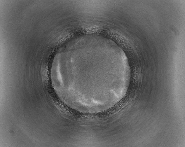 X0000111481346200908111152