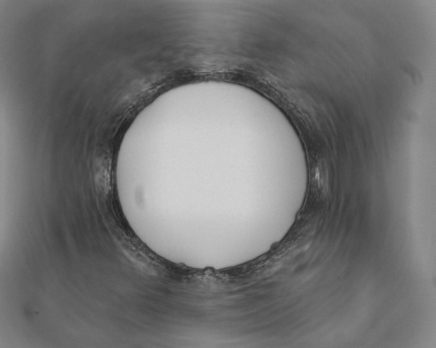 X0000111481348200908111152