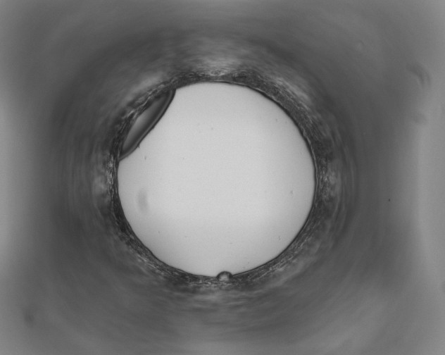 X0000111481349200908111152