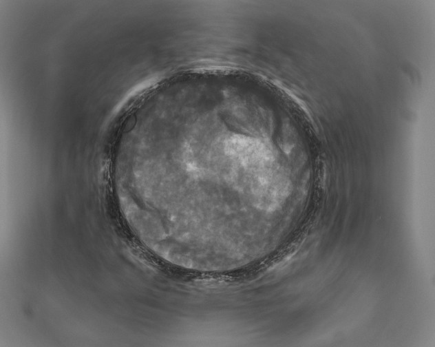 X0000111481351200908111152