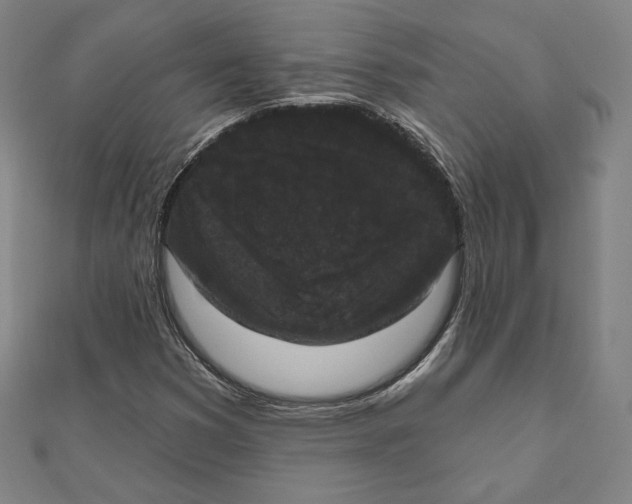 X0000111481353200908111152