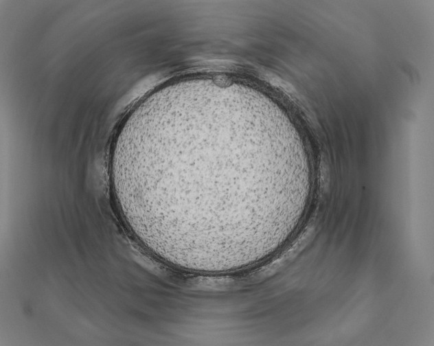 X0000111481354200908111152