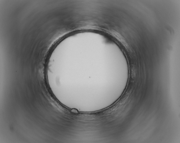 X0000111481356200908111152