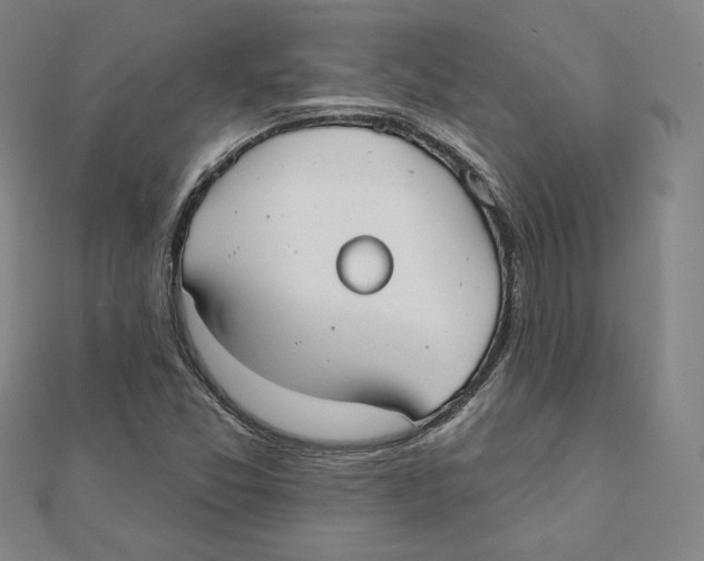 X0000111481357200908111152