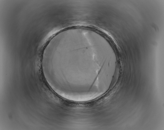 X0000111481359200908111152