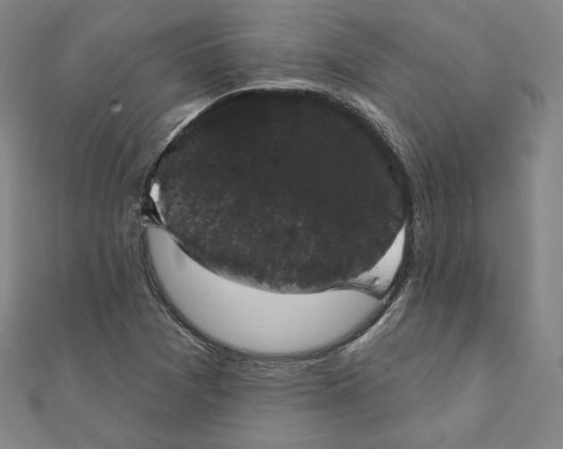 X0000111481361200908111152