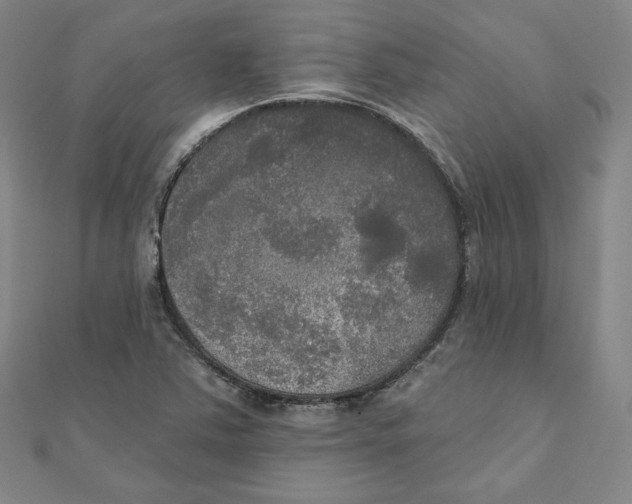 X0000111481363200908111152
