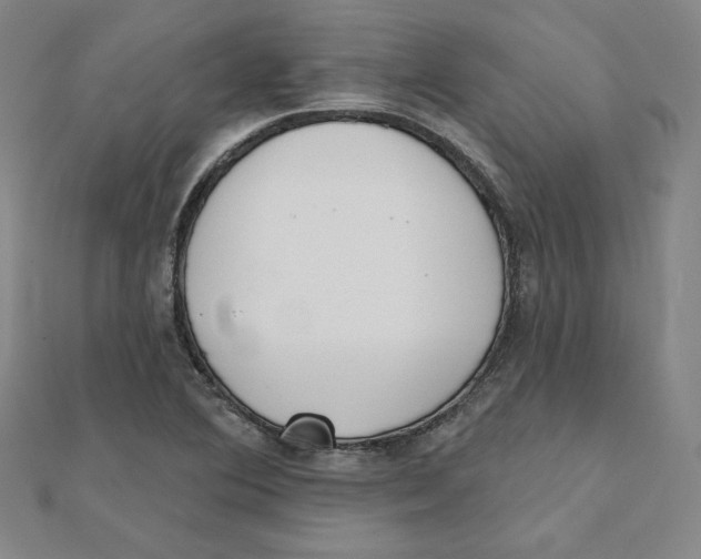 X0000111481364200908111152