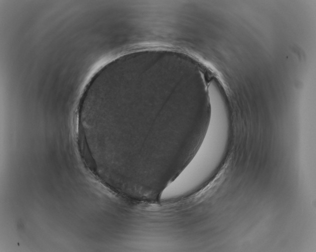 X0000111481365200908111152