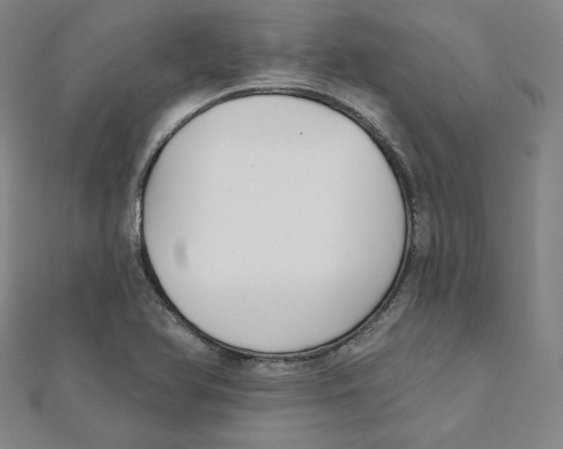 X0000111481366200908111152