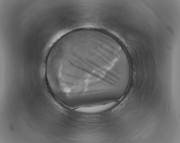 X0000111481367200908111152