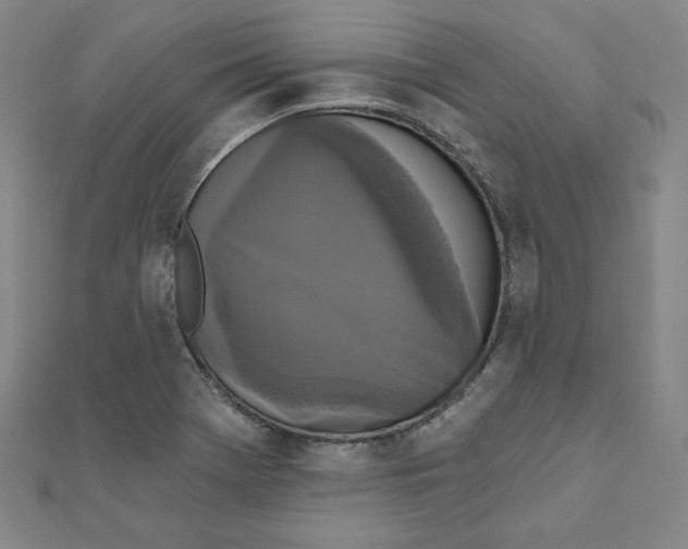 X0000111481369200908111152