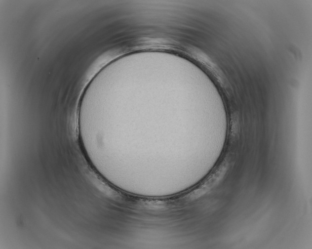 X0000111481370200908111152