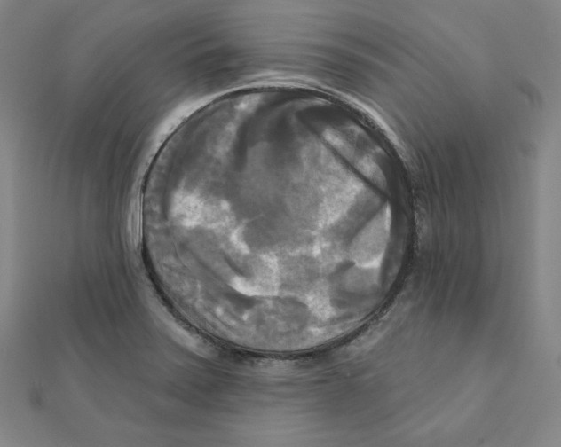 X0000111481371200908111152