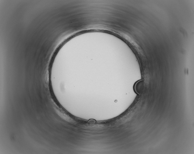 X0000111481372200908111152