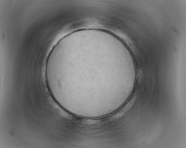 X0000111481374200908111152