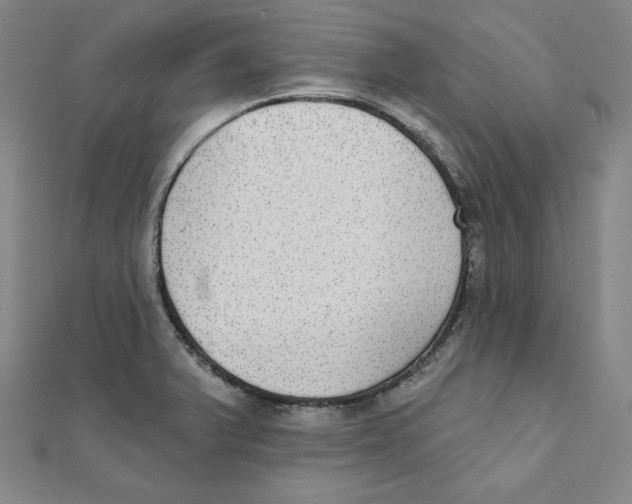 X0000111481375200908111152