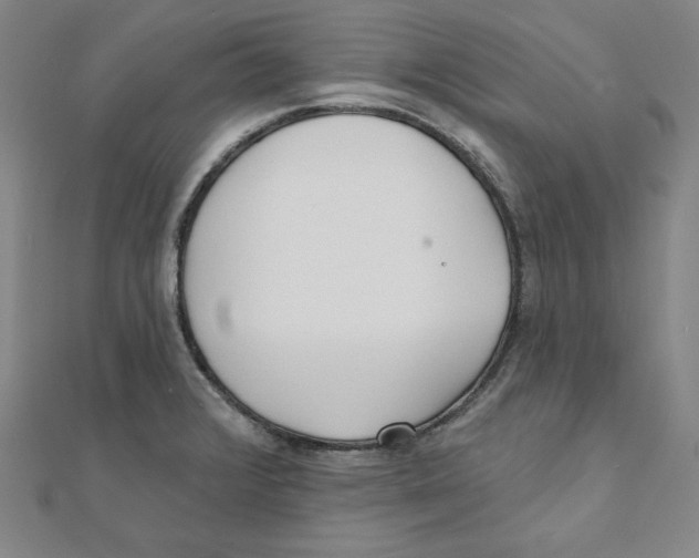 X0000111481376200908111152