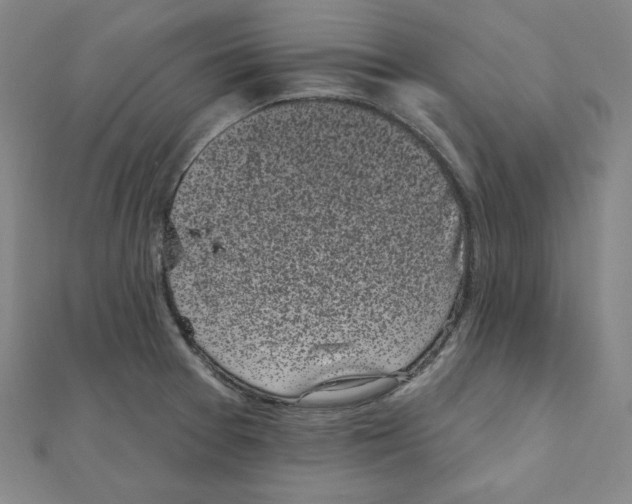 X0000111481377200908111152