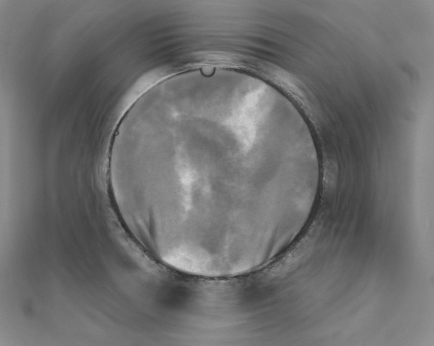 X0000111481378200908111152
