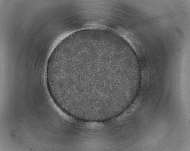 X0000111481379200908111152