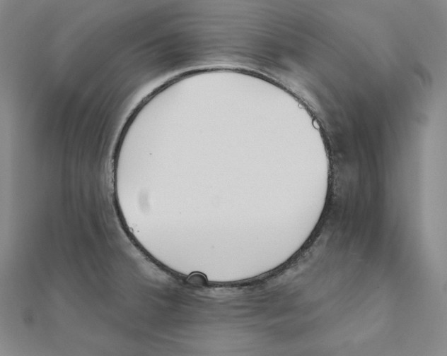 X0000111481380200908111152