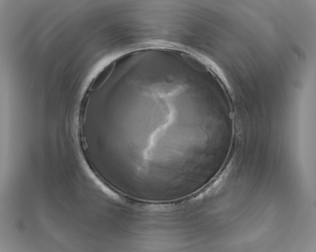 X0000111481381200908111152