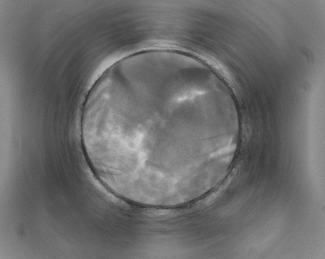 X0000111481382200908111152