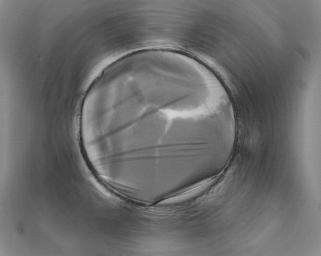 X0000111481383200908111152