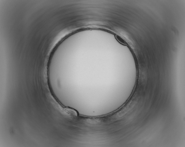 X0000111481384200908111152