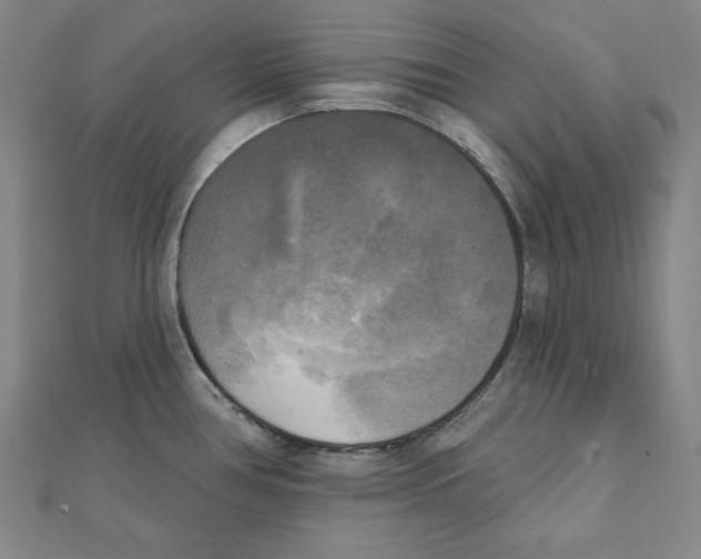 X0000111481386200908111151