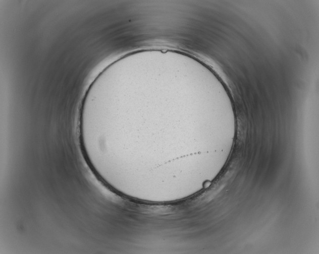 X0000111481387200908111151