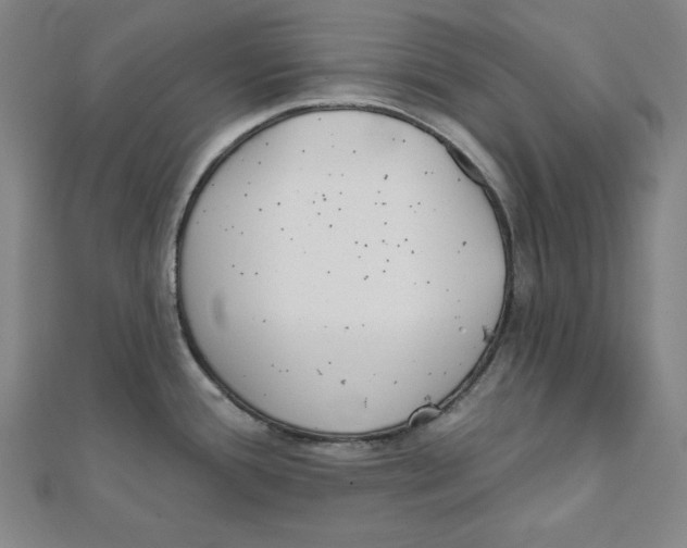 X0000111481388200908111151