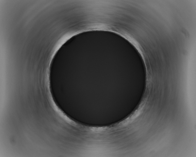 X0000111481389200908111151