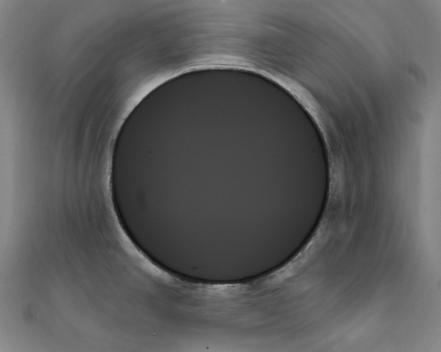X0000111481390200908111151