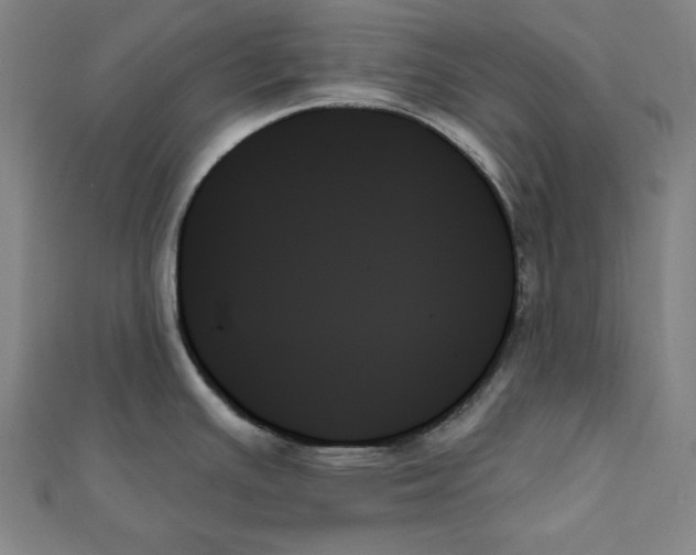 X0000111481391200908111151