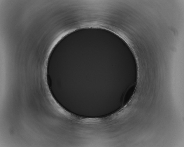 X0000111481392200908111151