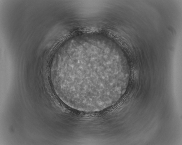 X0000111481393200908111151
