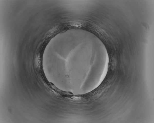 X0000111481394200908111151