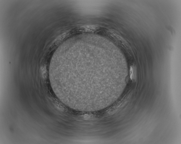 X0000111481395200908111151