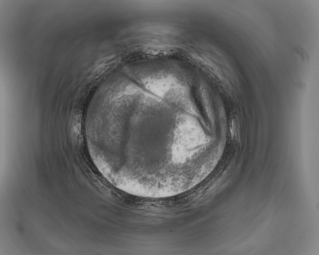 X0000111481396200908111151