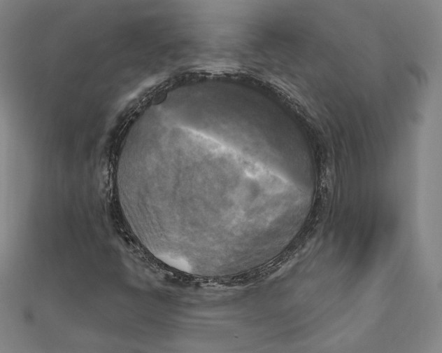 X0000111481398200908111151