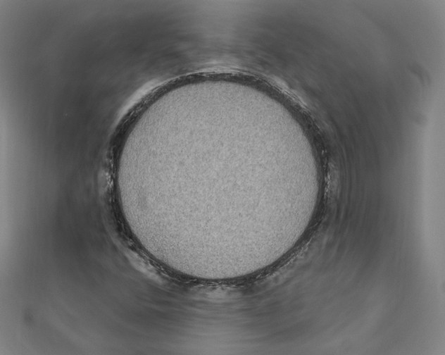 X0000111481400200908111151