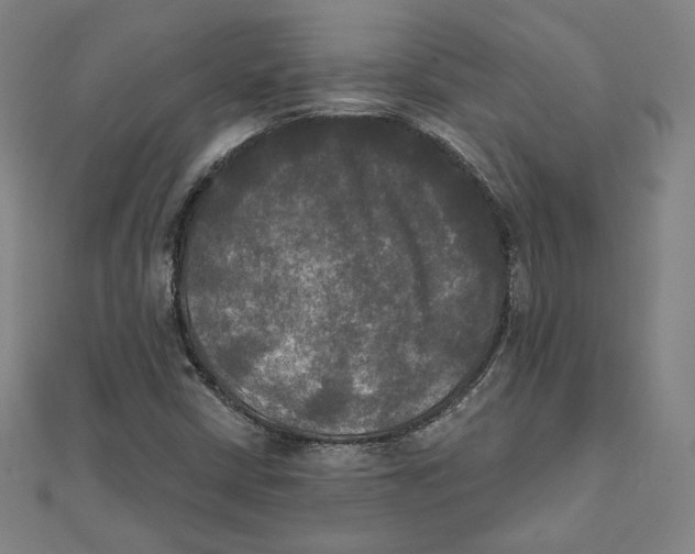 X0000111481402200908111151