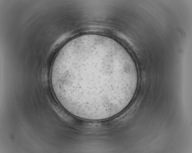 X0000111481403200908111151