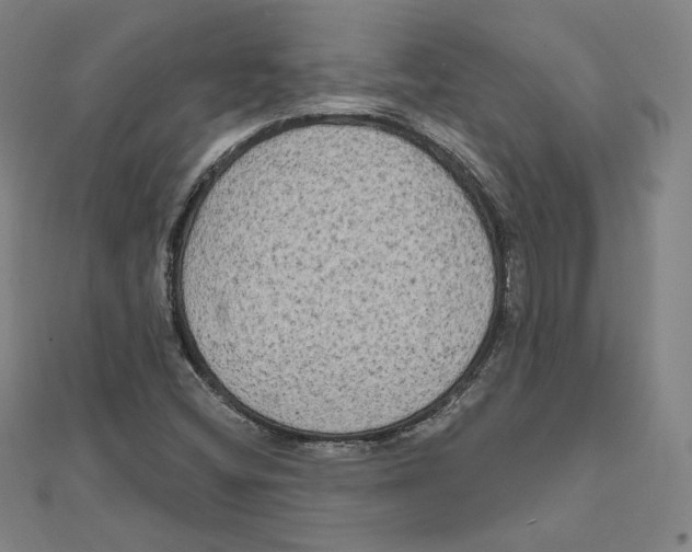 X0000111481404200908111151