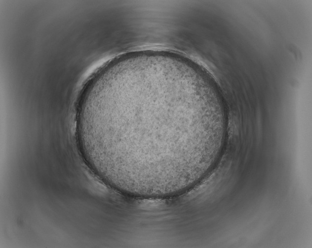 X0000111481406200908111151