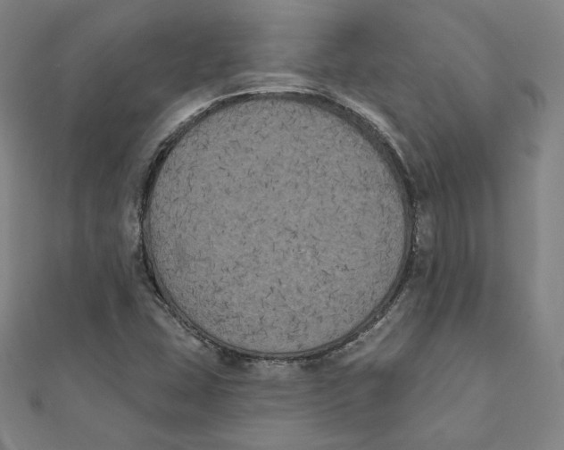 X0000111481407200908111151