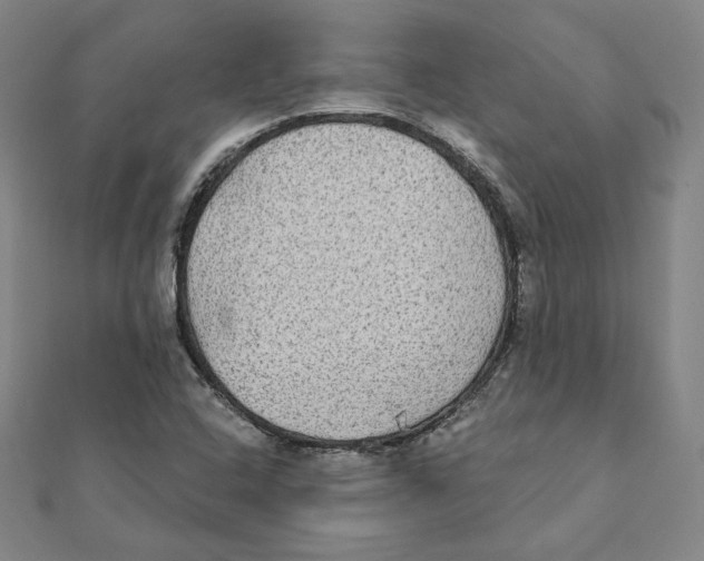 X0000111481408200908111151